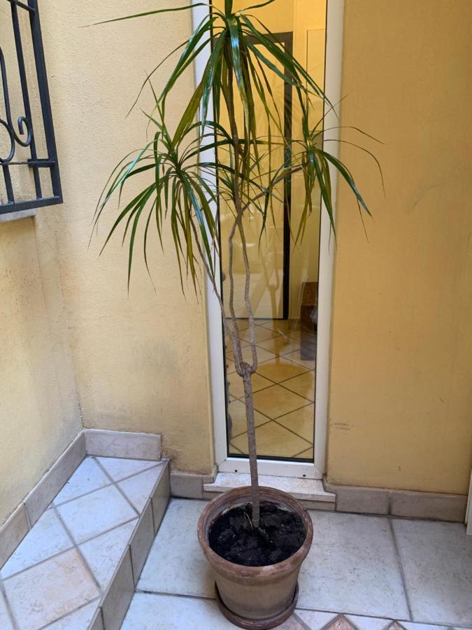 Biora Apartments Cagliari Exteriör bild